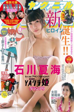 少年派电视剧